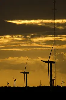 Silhouette of Windmills Print, Early Morning Netherlands