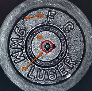 Cartridge Case Print: Fired Marks