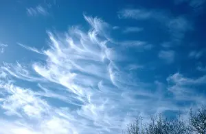 Cirrus Clouds Prints: Cirrus Cloud