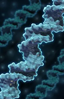 Double Helix Structure Prints: DNA, Molecular Model