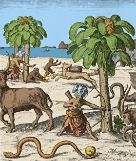 Early Exploration Print: Apes and Men Together, 1598