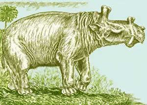 Prehistoric Animals Prints: Eobasileus