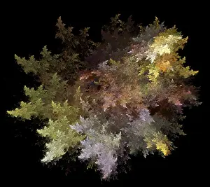 Black Background Graphics Prints: Fractal Flames