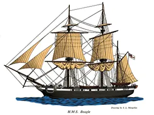 HMS Beagle Prints: HMS Beagle