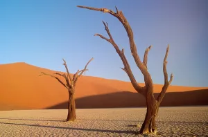 Namibia Sand Dunes Print