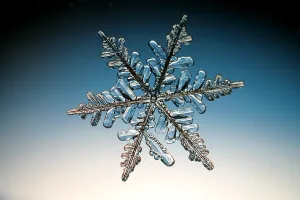 Framed Print : Dendritic Snow Crystal Print Framed Print : Dendritic Snow Crystal Print