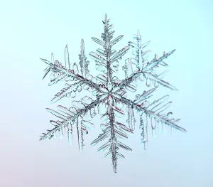 Snowflake Print: Hexagonal Crystal Form