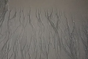 Nature Photos Prints: Patterns in Sand