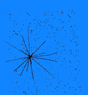 Particle Tracks Print from a Particle Detection Chamber