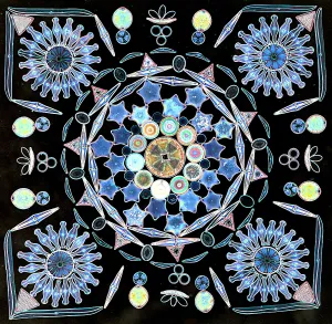 Light Microscopy Print of Diatoms