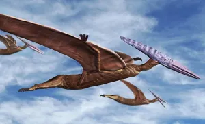 Late Jurassic Pterodactyls in Flight Print