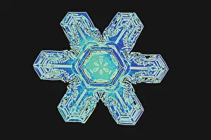 Meteorology Images Prints: Snowflakes