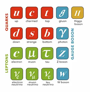 Higgs Boson Discovery Prints: Standard Model, Particle Physics