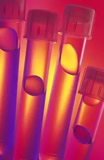 Laboratory Test Tubes Prints: Test tubes