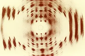 Deoxyribonucleic Acid Image Prints: X-ray Diffraction