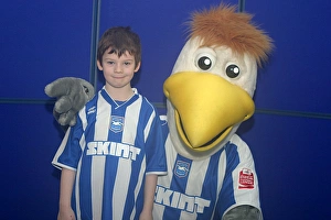 Brighton And Hove Albion FC 011 011 Print