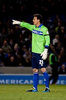 Images Dated 17th April 2012: Brighton & Hove Albion: Debut of David Gonzalez Against Watford (April 17, 2012)