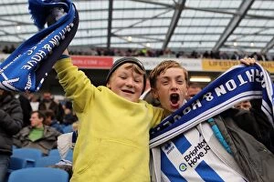 Images Dated 1st February 2001: Brighton & Hove Albion FC: Electric Atmosphere at The Amex (2012-2013)