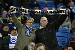 Brighton and Hove Albion v Newcastle United EFL Sky Bet Championship 28FEB17 Brighton and Hove Albion v Newcastle United EFL Sky Bet Championship 28FEB17