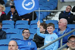 Brighton and Hove Albion v Tottenham Hotspur Premier League 17APR18 Brighton and Hove Albion v Tottenham Hotspur Premier League 17APR18