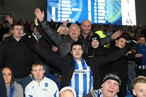 Images Dated 2nd November 2012: Brighton & Hove Albion vs Leeds United (2012-13 Home Game)