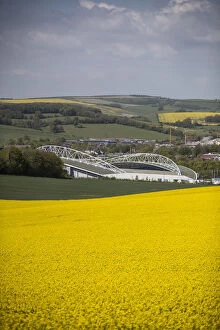 The Amex Stadium Collection: Brighton and Hove Albion's Amex Stadium Amidst Rapeseed Fields, May 2018