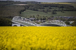 The Amex Stadium Collection: Brighton and Hove Albion's Amex Stadium Amidst a Sea of Rapeseed Fields, May 2018