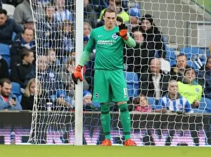Images Dated 23rd January 2016: Championship Clash: Brighton and Hove Albion vs. Huddersfield Town (January 23, 2016)