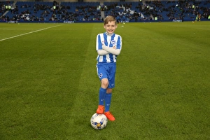 Brighton And Hove Albion FC Print