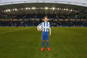 Brighton And Hove Albion FC Print