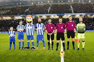 Brighton And Hove Albion FC Print