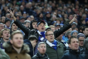 Tottenham Hotspur v Brighton and Hove Albion Premier League 13DEC17 Tottenham Hotspur v Brighton and Hove Albion Premier League 13DEC17