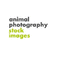 Animal Photography Animal Photography